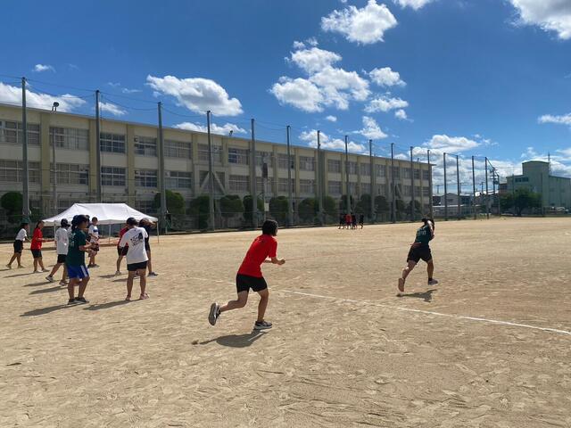 4913138897141677292.634c815faa6888d6c19a05049cfed2d0.23080704.jpegのサムネイル画像
