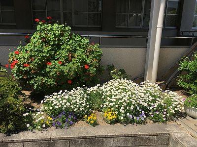 IMG_7334.jpg