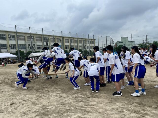 IMG_3658.jpeg