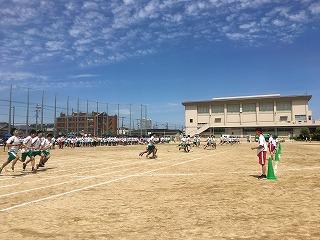 IMG_4325.jpg