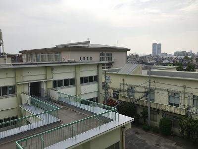 IMG_7780.jpg