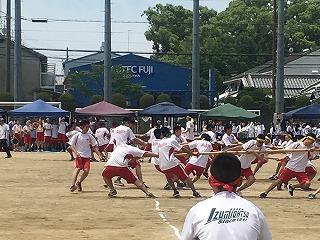 IMG_4395.jpg