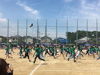 IMG_4291.jpg