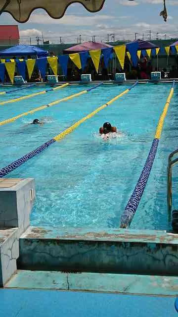 水泳部 堺泉北地区水泳大会 女子400mリレー6位、男子50m平泳ぎ5位入賞