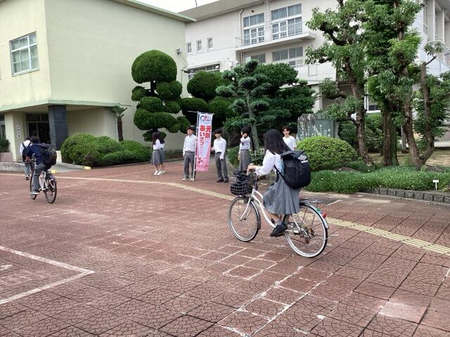 IMG_3539(中).jpeg