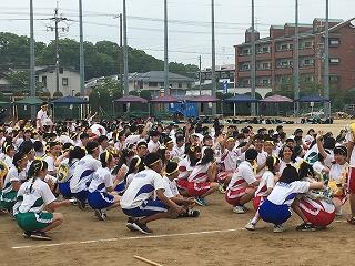 IMG_9315.jpg
