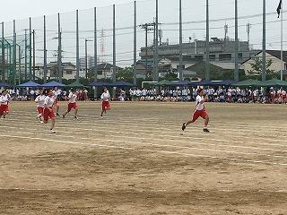 IMG_9174.jpg