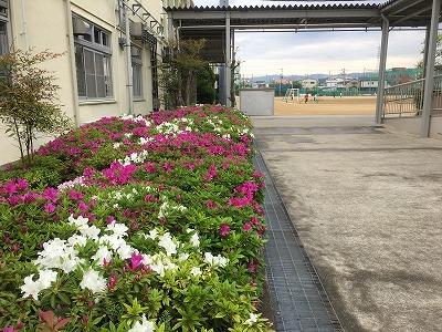 春に三日の晴れなし