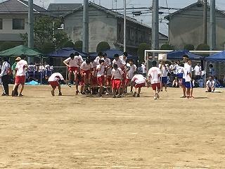 IMG_4309.jpg