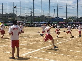 IMG_4371.jpg