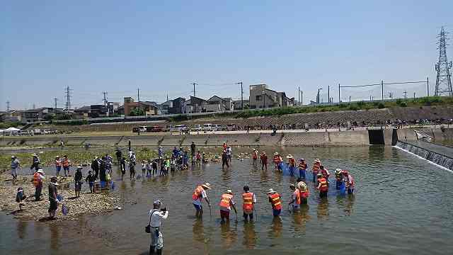 第6回「アユと遊ぼう大津川」 自由研究部など有志ボランティア参加