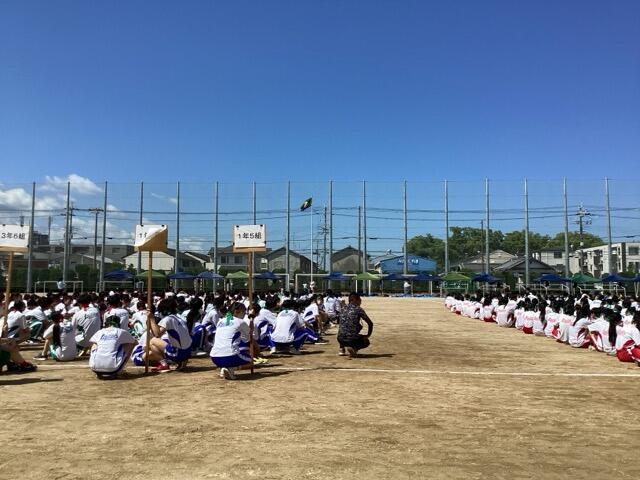 IMG_3274(中).jpeg