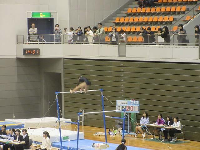体操部 堺体操選手権大会 女子(中級の部)個人総合1位、ゆか・段違い平行棒・平均台1位、跳馬2位