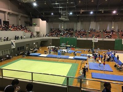H29年度運動系クラブの春の活動状況(一部クラブ)