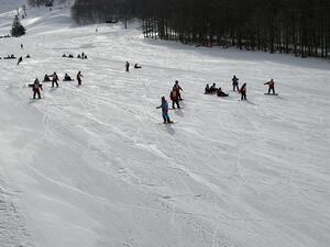 IMG_0841.jpeg