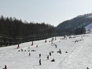 IMG_0845.jpeg