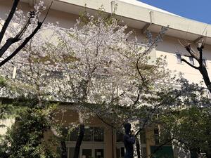 IMG_1271.JPG