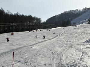 IMG_0839.jpeg