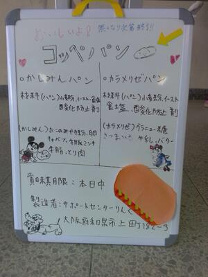 IMG_20251211_113131.jpg