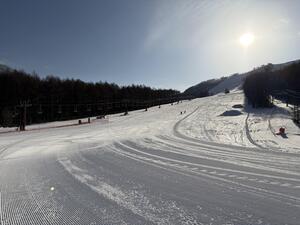 IMG_0834.jpeg