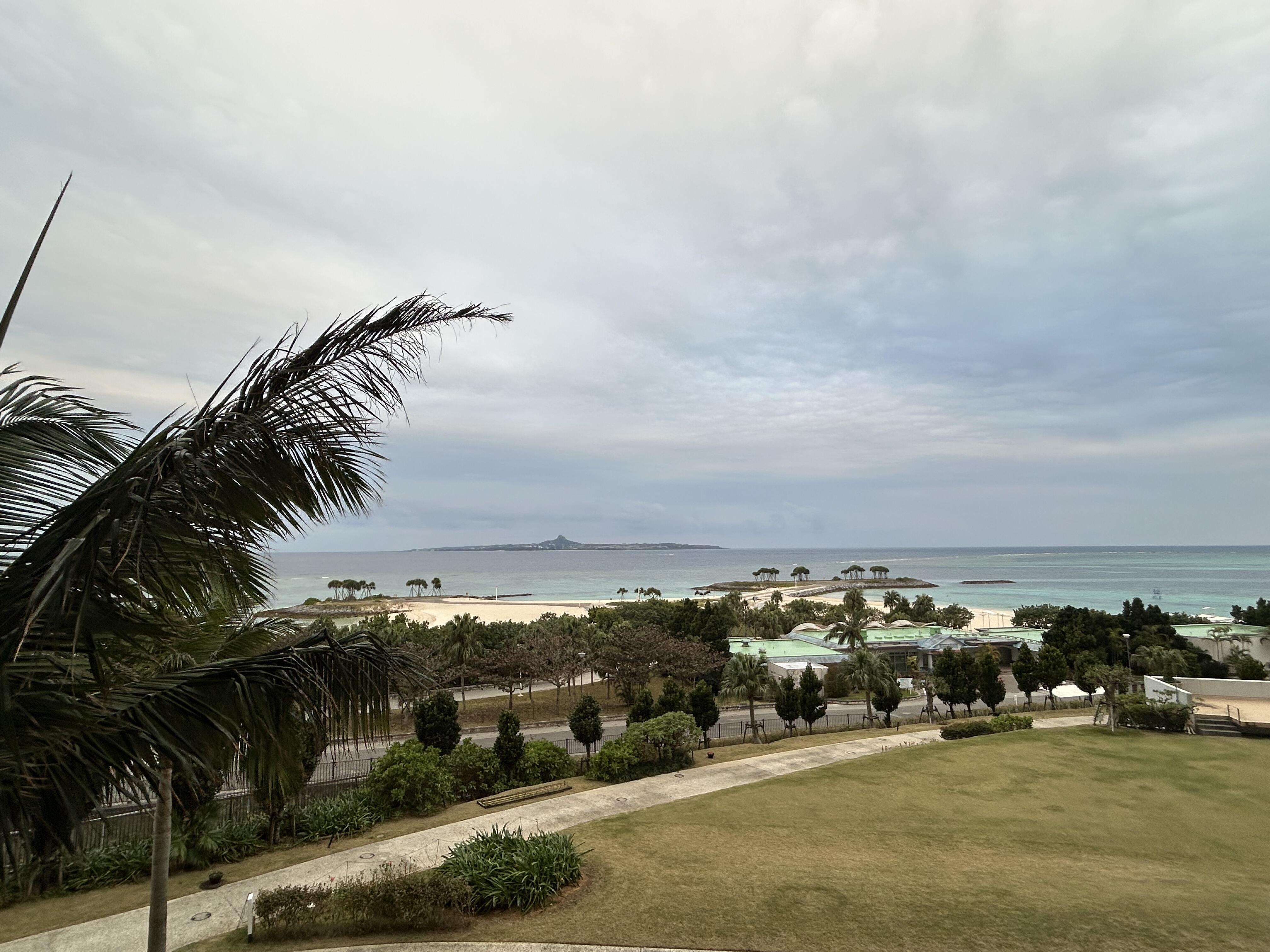IMG_5313.jpeg