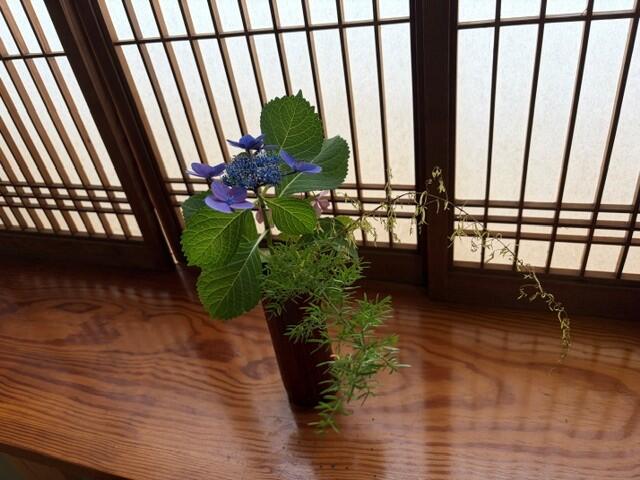 茶道部３.jpg