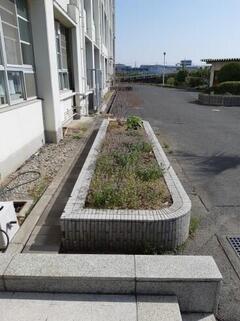 草抜き１.jpg