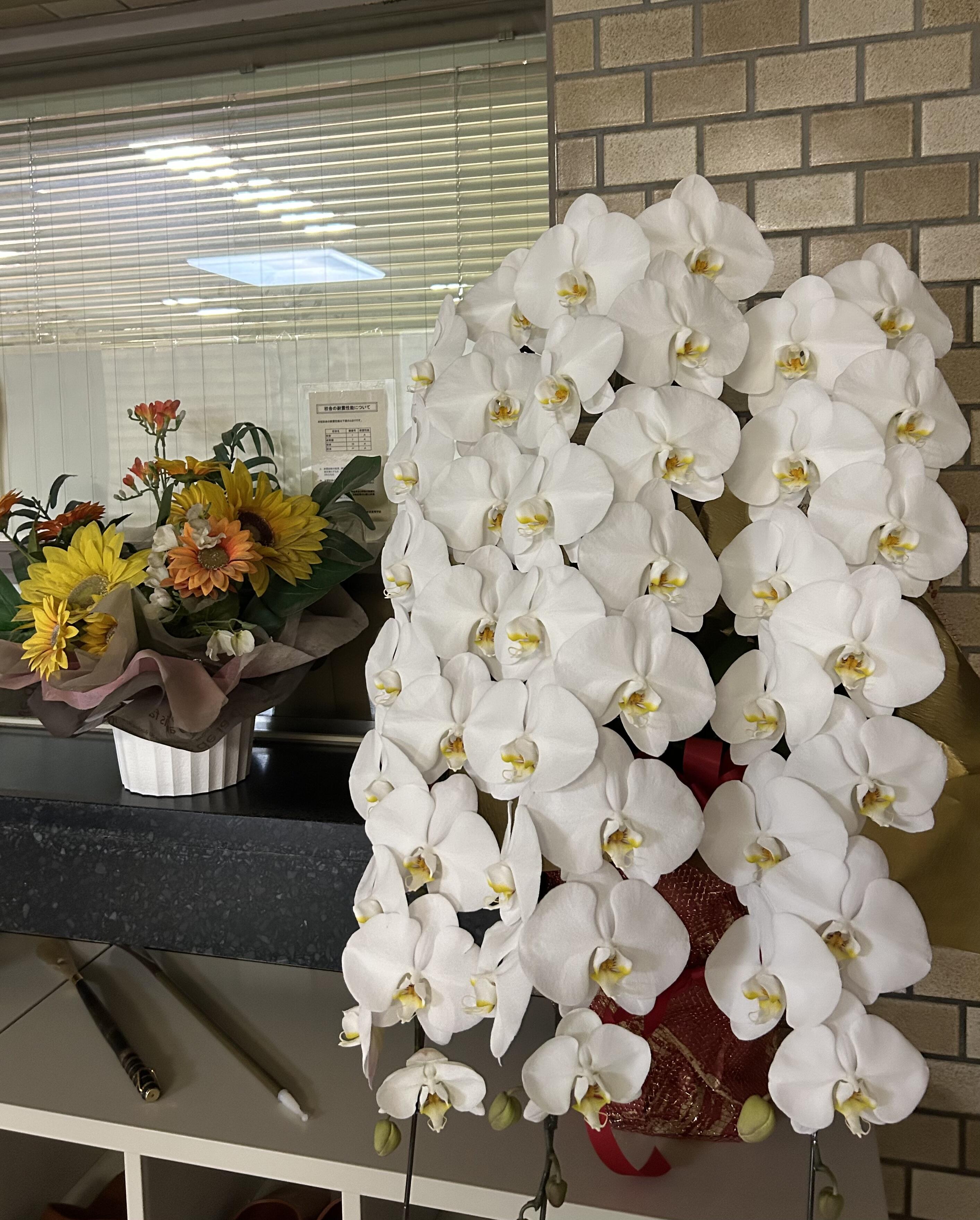 IMG_1799.jpeg
