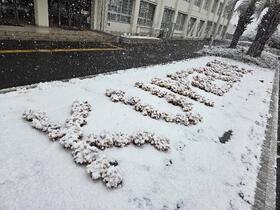 雪.jpg