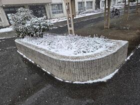 雪3.jpg