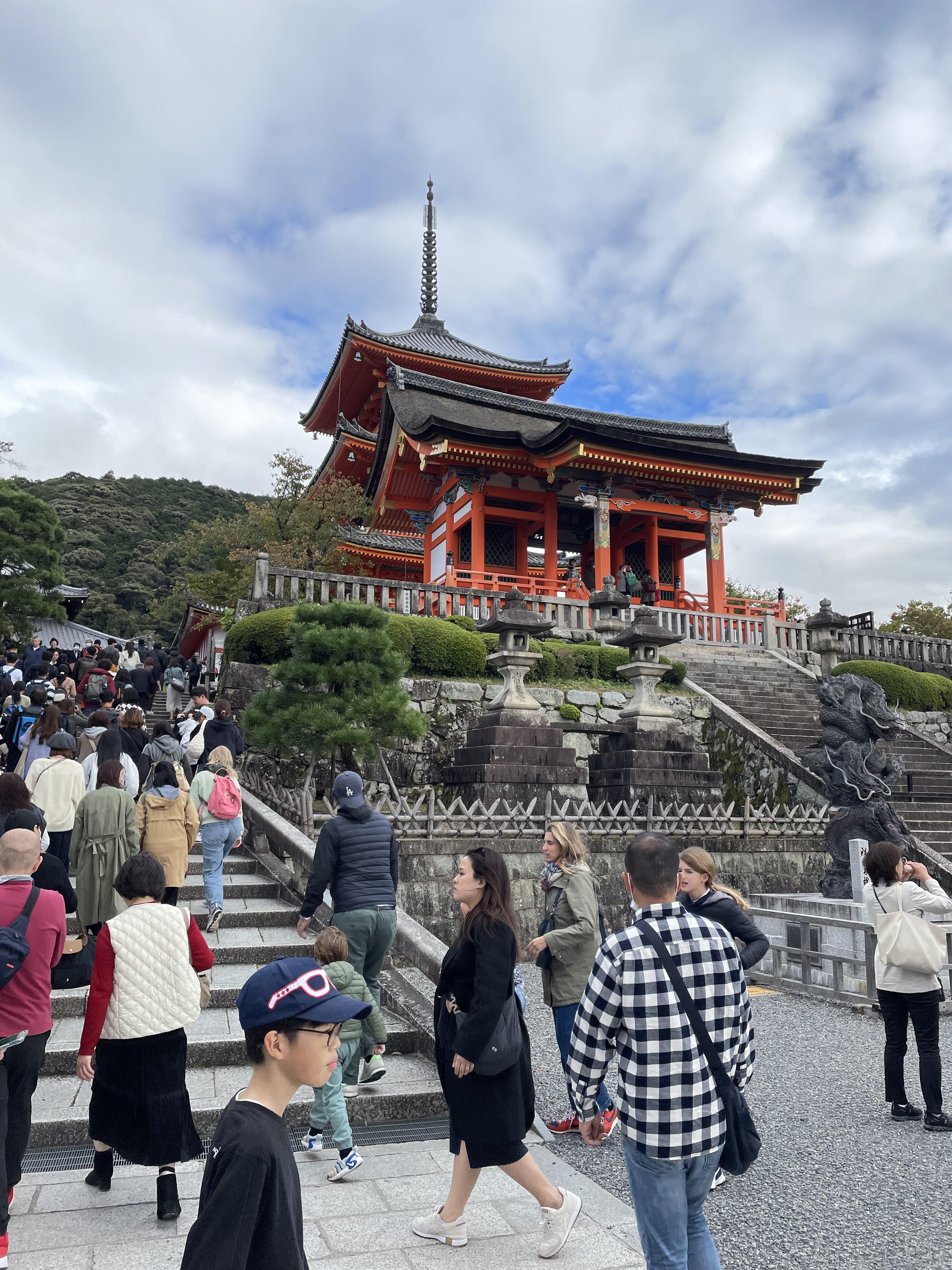 IMG_6864.jpeg