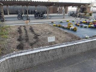 草抜き4.jpg