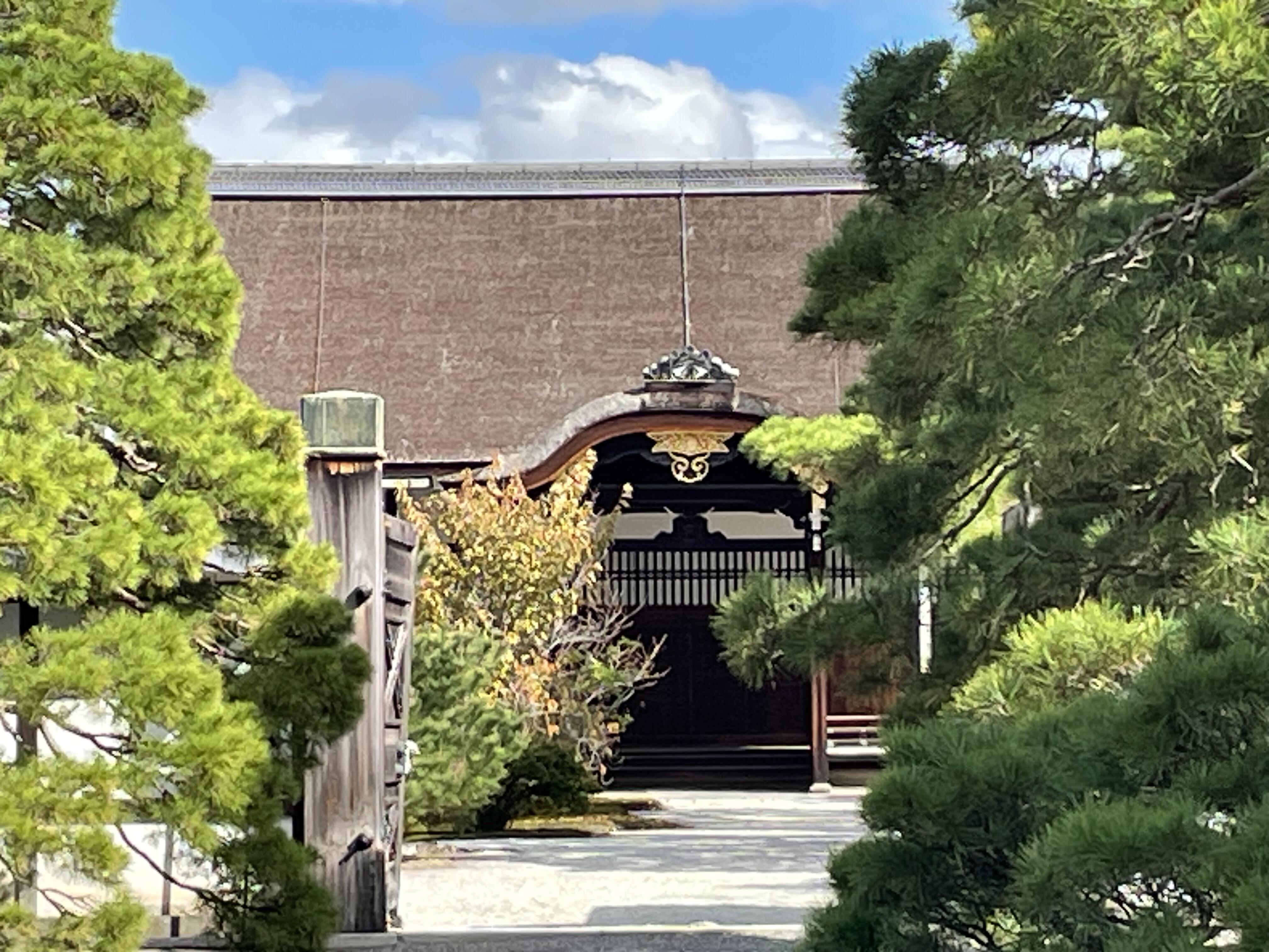 IMG_6834.jpeg