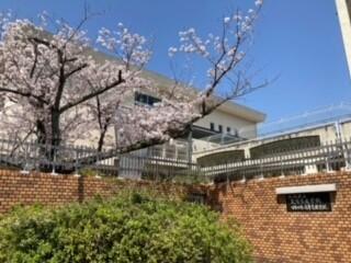 すながわ卒業式.jpg