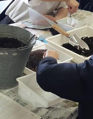 画像4.jpg