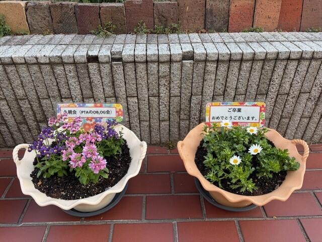 花.jpg