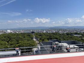 IMG_1553.jpeg