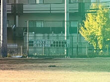 IMG_6985.jpeg