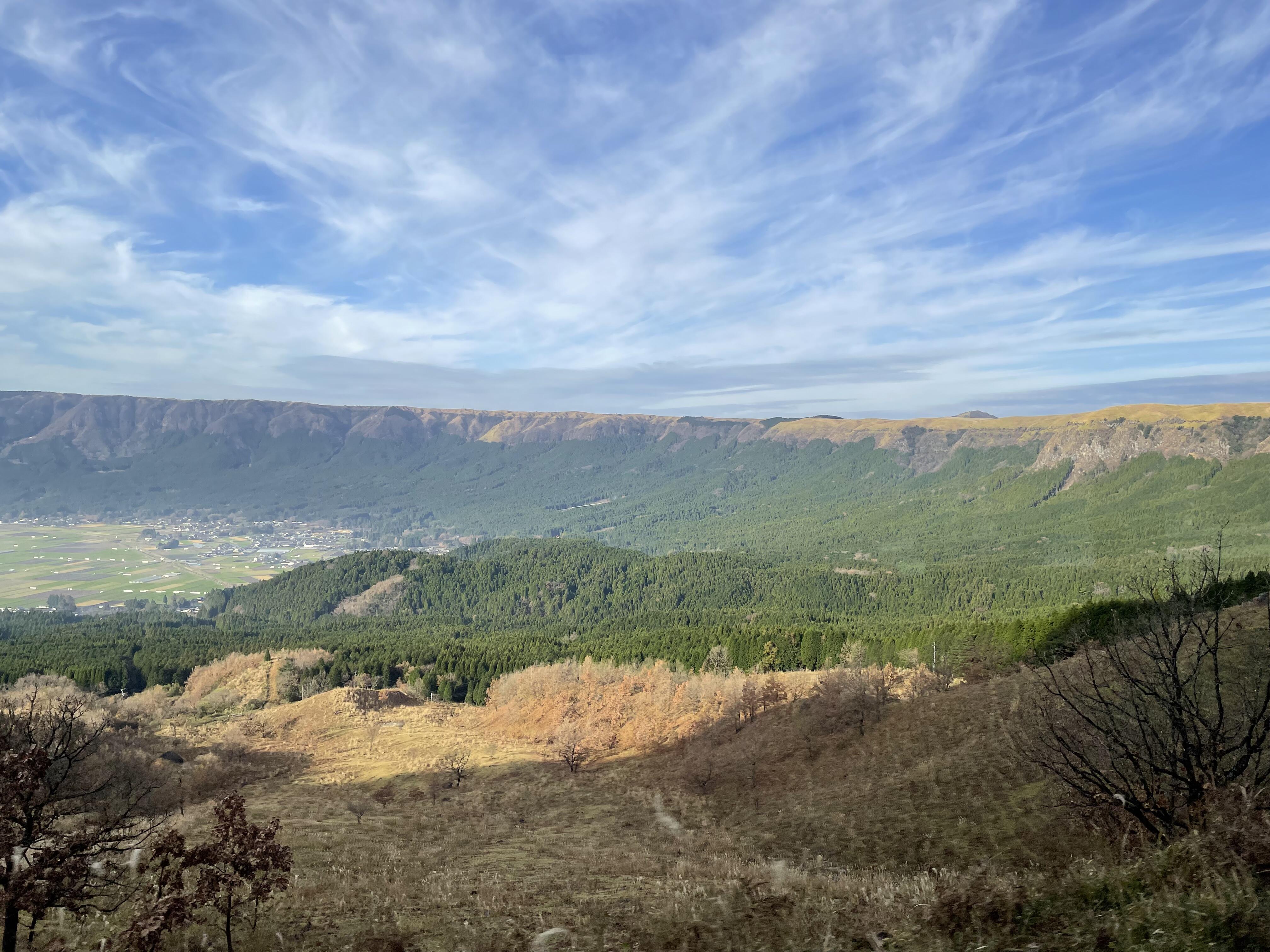 B4CAEC65-79EF-484E-A58D-B3EF0F822434.jpeg
