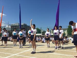 IMG_0519.JPG