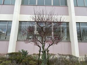 IMG_9613.JPG