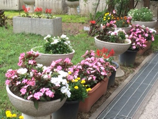7月15日2.JPG