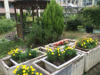 7月15日6.JPG