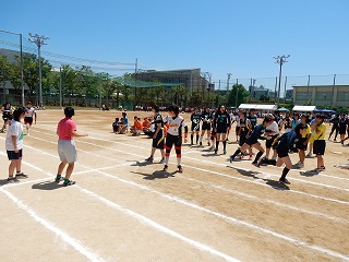 6224.jpg