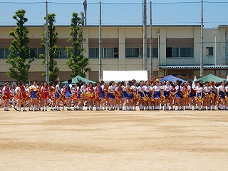 6222.jpg