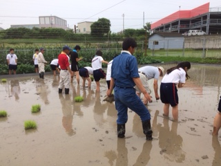 田植え2.JPG