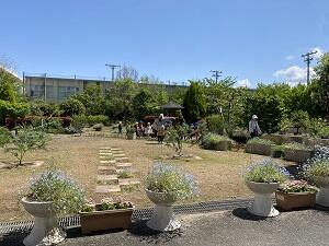 IMG_6597.JPG