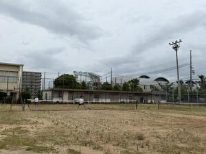 IMG_9989.JPG