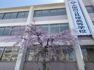 ４月８日が待ち遠しいです。