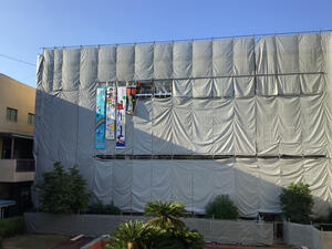 IMG_2070.jpeg
